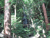 camp24 (242)_samu.gif
